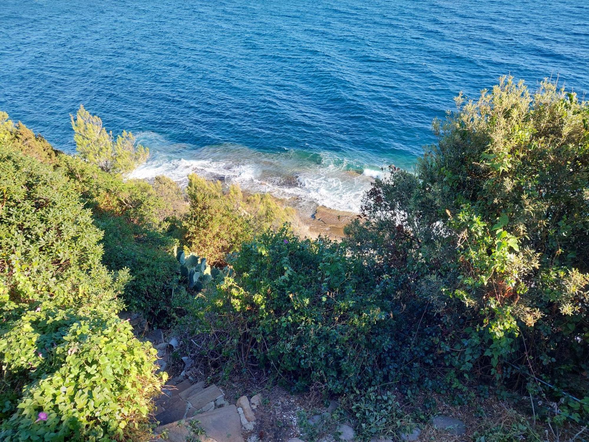 Maisonnette Vue Mer Carqueiranne Kültér fotó
